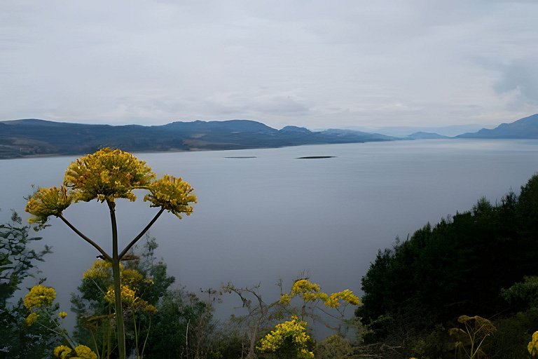 Cabaña vista al lago Tominê y Naturaleza Guatavita