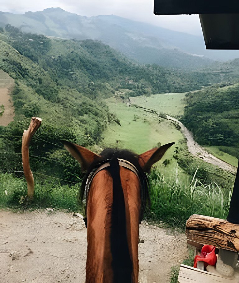 Cabaña vista al lago Tominê y Naturaleza Guatavita