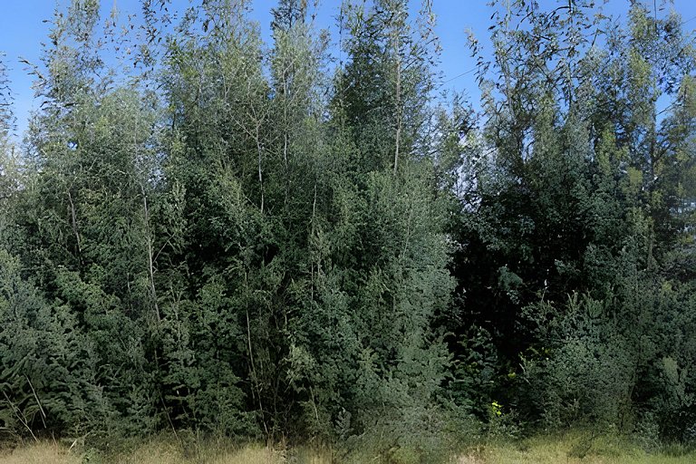 Glamping con vista frente lago Tominé en Guatavita