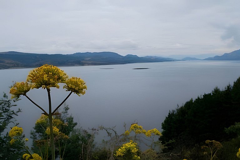Cabaña vista al lago Tominé y Naturaleza Guatavita